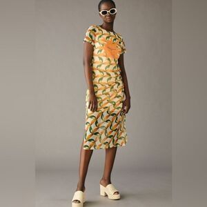 Farm Rio Printed Sun ☀️ Mesh Dress Size Small